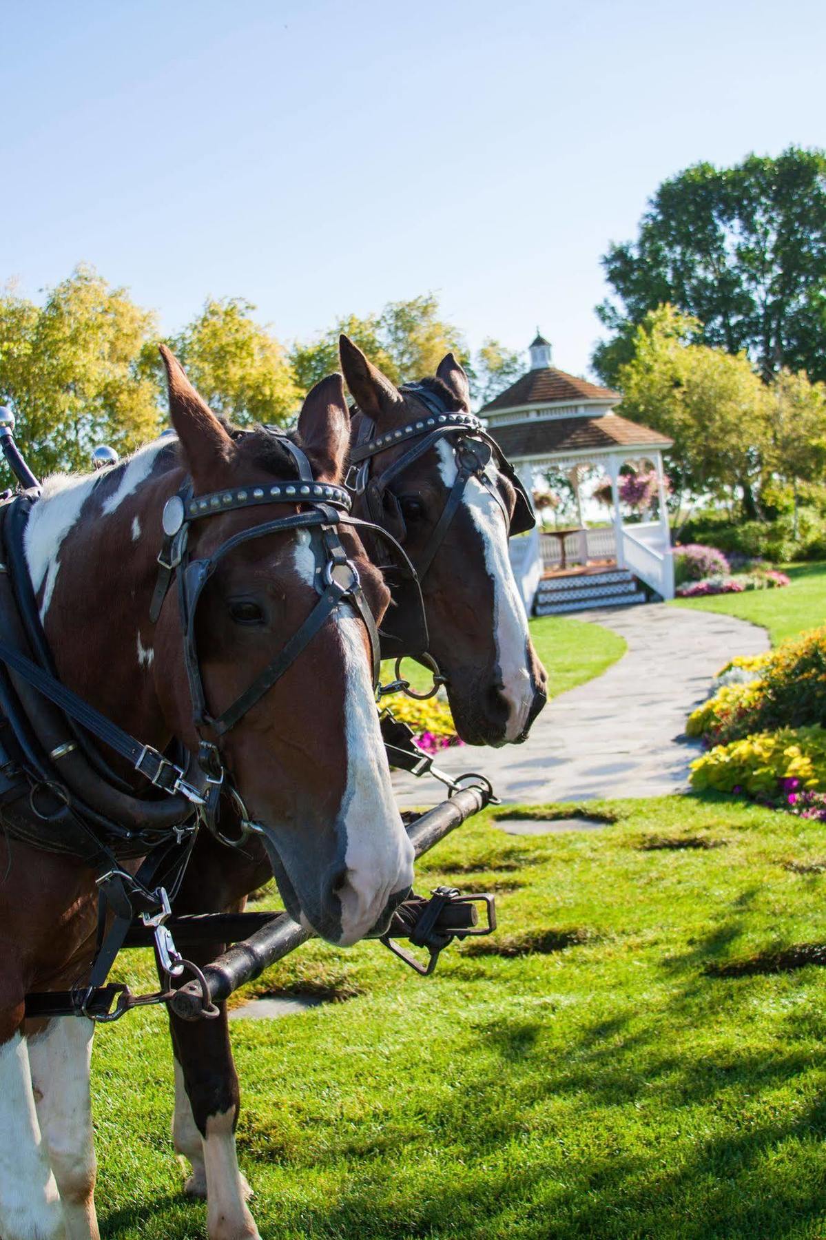 Mission Point Resort Mackinac Island Exterior foto